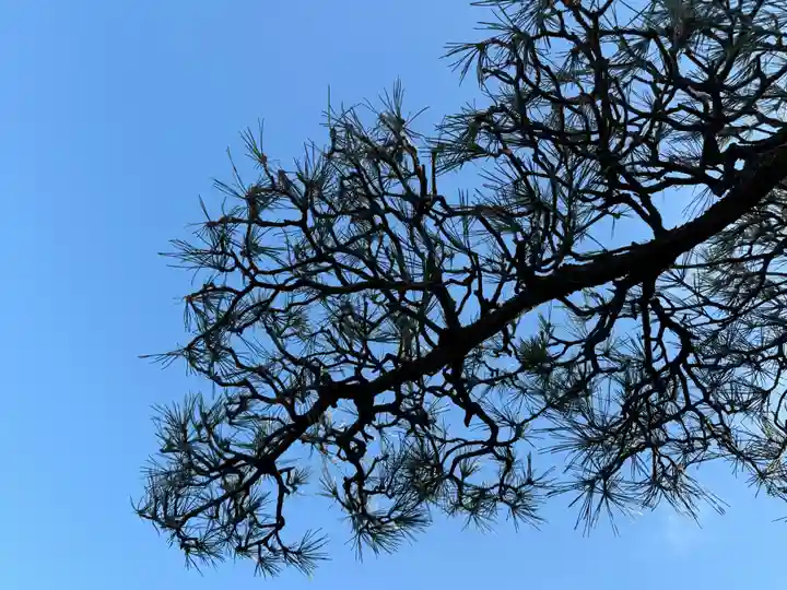 西方山極楽寺(岐阜県)
