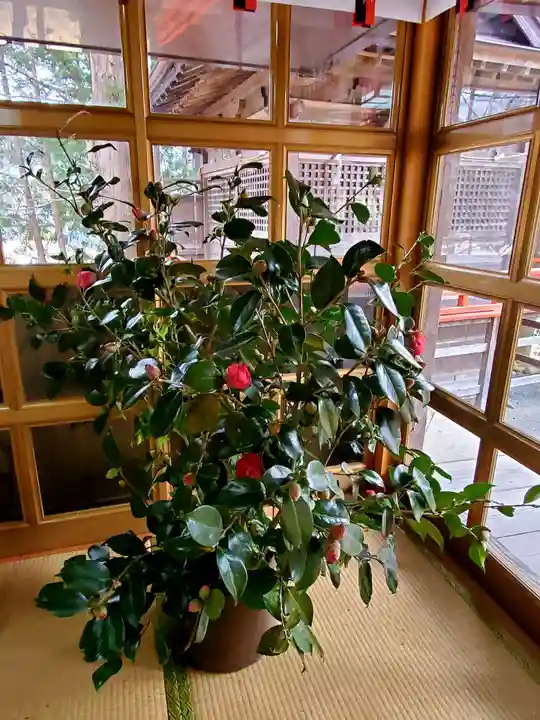 高司神社〜むすびの神の鎮まる社〜の自然