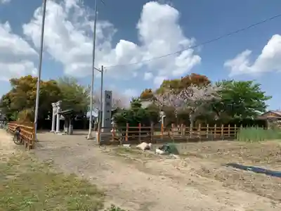 白幡神社のその他建物
