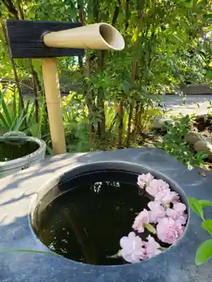 真明寺(東京都)