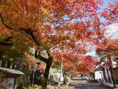 華厳寺(岐阜県)