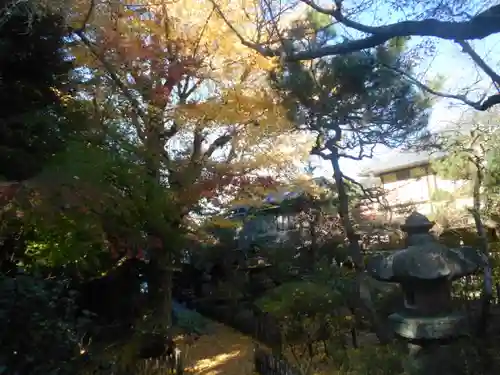 安國論寺（安国論寺）(神奈川県)