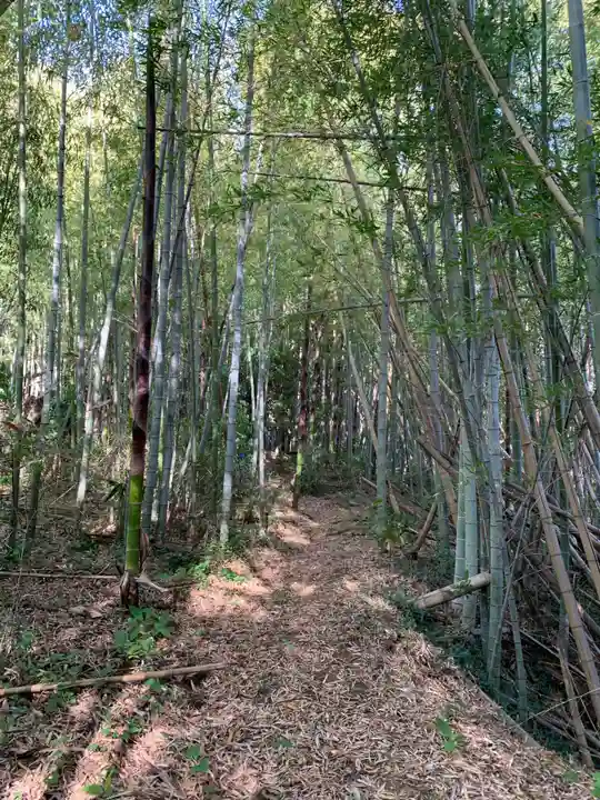 愛宕神社(千葉県)
