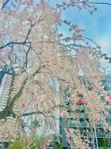 櫻岡大神宮の自然