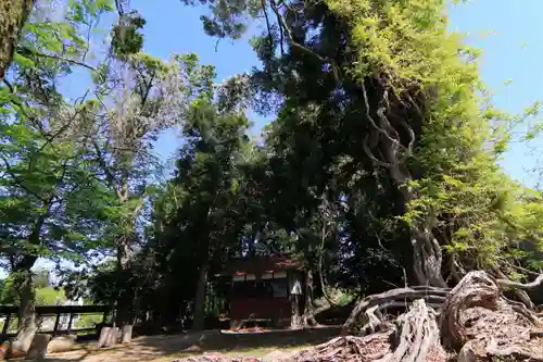 藤稲荷神社の庭園