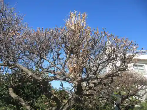 本願寺(東京都)