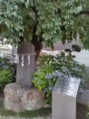 宮城野八幡神社(宮城県)