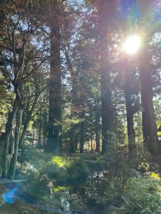 河口浅間神社の自然