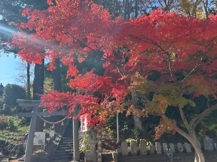 岡部春日神社~👹鬼門よけの🌺花咲く🌺やしろ~(福島県)