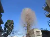 御林稲荷神社(駒込天祖神社境外末社)(東京都)