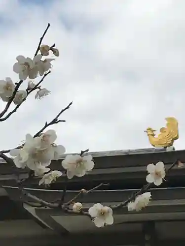 湯島天満宮の自然