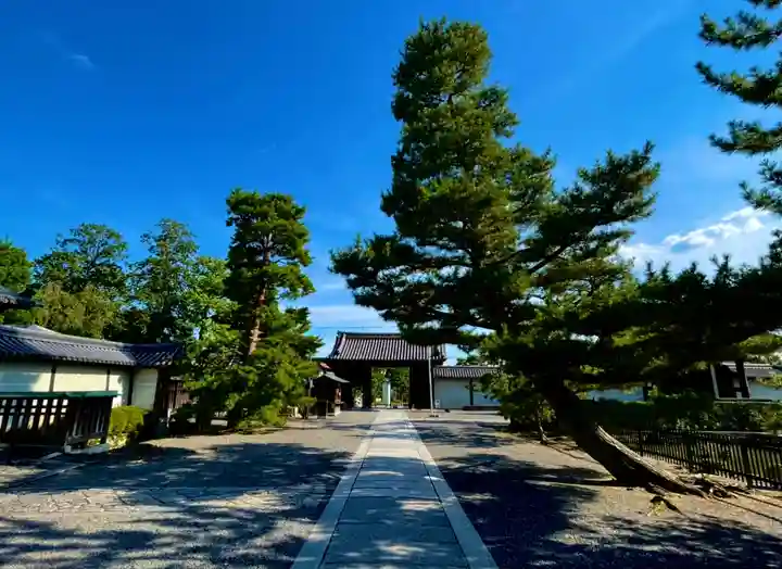 妙心寺(妙心禅寺)のその他建物