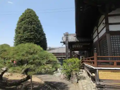 金剛院(沼田成田不動尊)(群馬県)