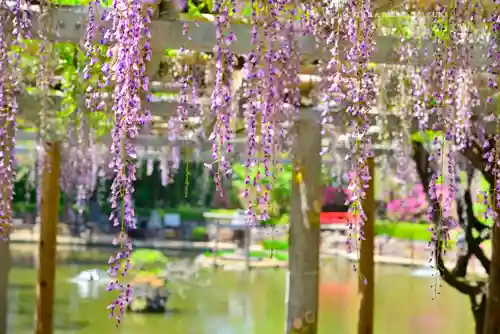 越ヶ谷久伊豆神社(埼玉県)