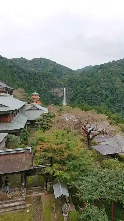 熊野那智大社の自然