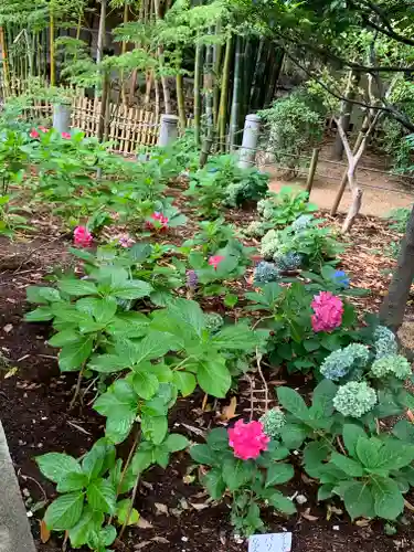 生田神社の庭園