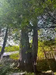 敢國神社(三重県)