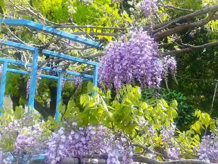 本成寺(大阪府)