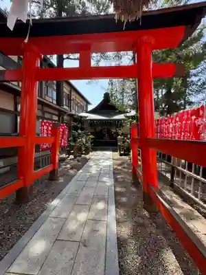 一本杉白山神社(岐阜県)