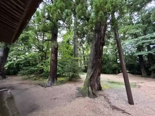 越中一宮 髙瀬神社(富山県)