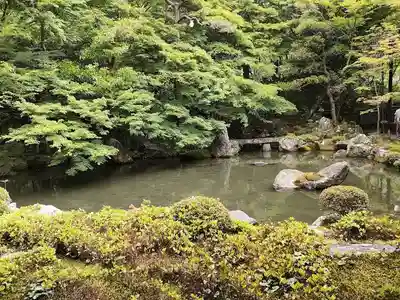 蓮華寺（洛北蓮華寺）(京都府)