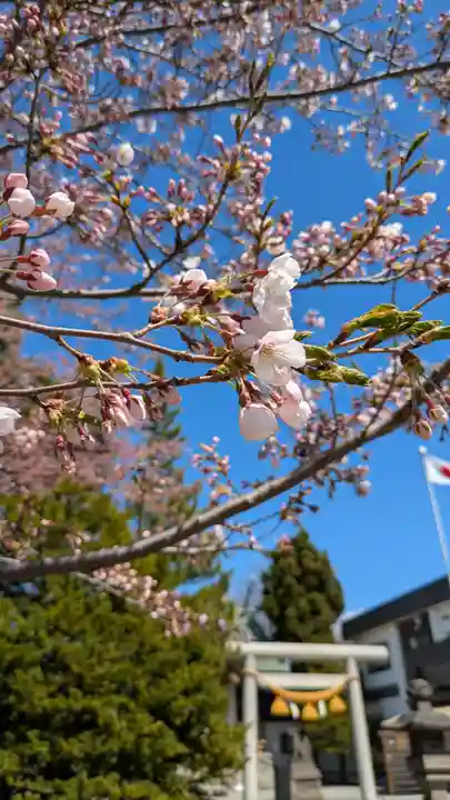 烈々布神社の自然