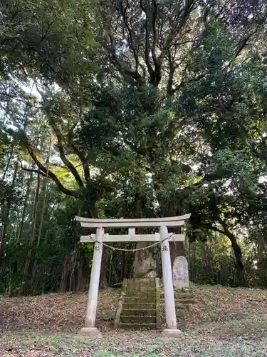 諏訪神社の鳥居