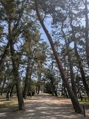 智恩寺(京都府)