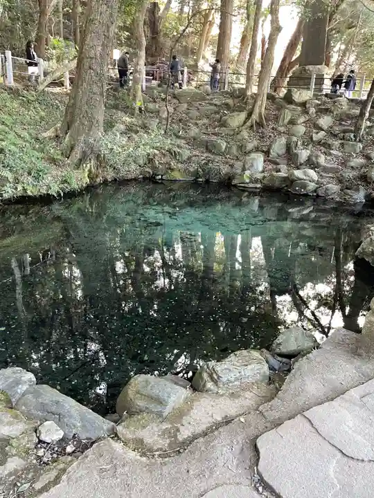 泉神社(茨城県)