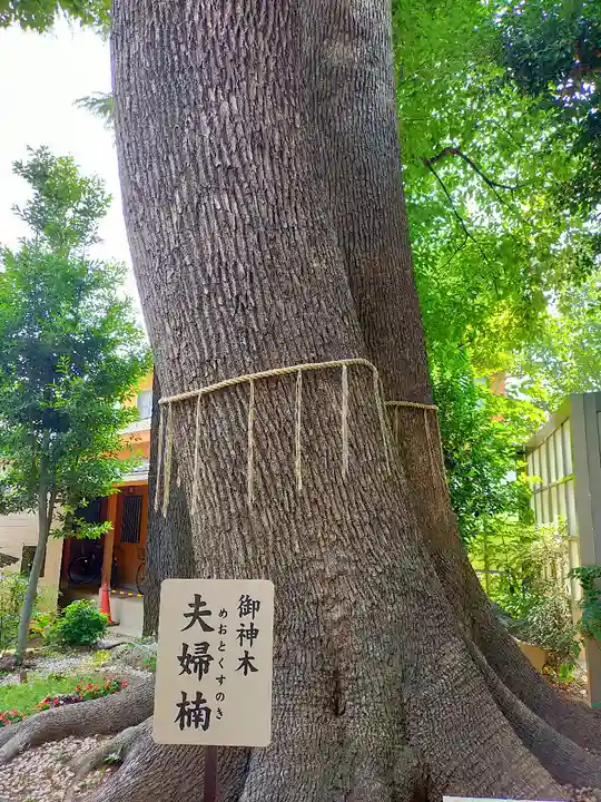 鳩ヶ谷氷川神社の自然