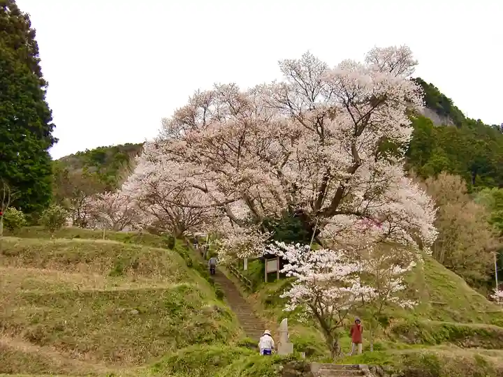 仏隆寺(奈良県)