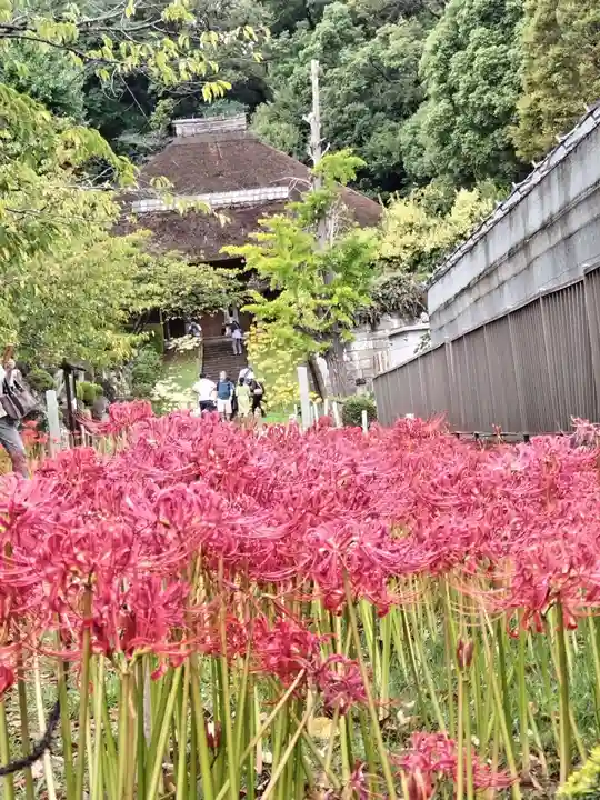 横浜 西方寺(神奈川県)