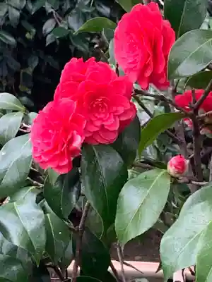 城南宮(京都府)