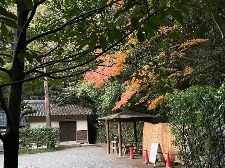 大神神社の{uncategorized: "未分類", other: "その他", undefined: "問題あり", building: "その他建物", grave: "お墓", sacred_gate: "鳥居", guardian: "狛犬", statue: "像", buddha: "仏像", history: "歴史", nature: "自然", garden: "庭園", animal: "動物", pagoda: "塔", temizu: "手水舎", mountain_gate: "山門・神門", sanctuary: "本殿・本堂", subordinate: "末社・摂社", art: "芸術", scenery: "景色", jizo: "地蔵", ema: "絵馬", goshuin: "御朱印", omikuji: "おみくじ", items: "授与品その他", amulet: "お守り", goshuincho: "御朱印帳", eats: "食事", festival: "お祭り", votive_dance: "神楽", shichigosan: "七五三参", wedding: "結婚式", experience: "体験その他", initially: "初詣", around: "周辺", anti_infection: "感染症対策"}