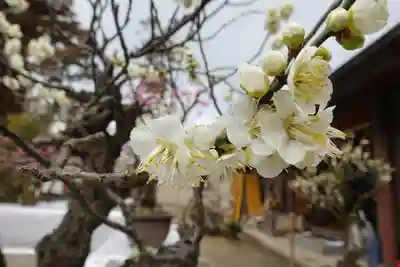 菅原天満宮（菅原神社）のその他建物
