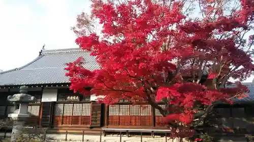 源光庵のその他建物