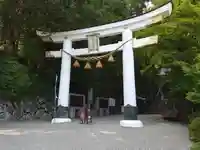 宝登山神社(埼玉県)