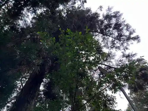 大宮温泉神社(栃木県)