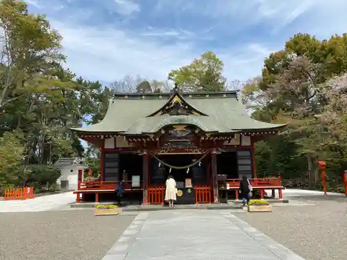 玉村八幡宮の本殿・本堂