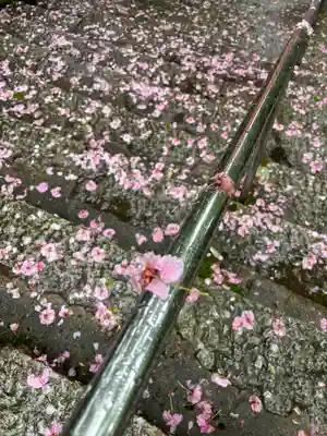 成相寺(京都府)