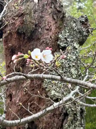 国宝 大法寺の{uncategorized: "未分類", other: "その他", undefined: "問題あり", building: "その他建物", grave: "お墓", sacred_gate: "鳥居", guardian: "狛犬", statue: "像", buddha: "仏像", history: "歴史", nature: "自然", garden: "庭園", animal: "動物", pagoda: "塔", temizu: "手水舎", mountain_gate: "山門・神門", sanctuary: "本殿・本堂", subordinate: "末社・摂社", art: "芸術", scenery: "景色", jizo: "地蔵", ema: "絵馬", goshuin: "御朱印", omikuji: "おみくじ", items: "授与品その他", amulet: "お守り", goshuincho: "御朱印帳", eats: "食事", festival: "お祭り", votive_dance: "神楽", shichigosan: "七五三参", wedding: "結婚式", experience: "体験その他", initially: "初詣", around: "周辺", anti_infection: "感染症対策"}