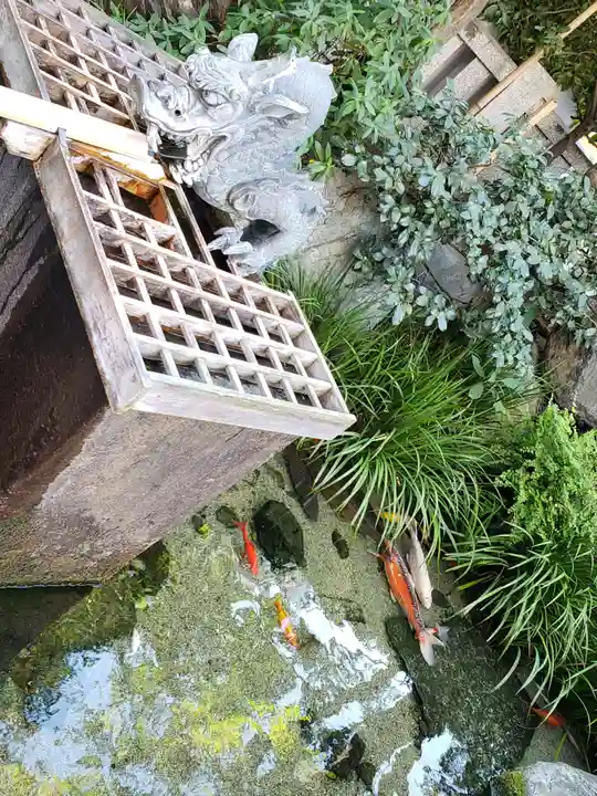 厳嶋神社の手水舎