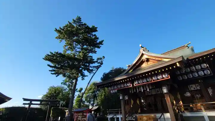 中野沼袋氷川神社のその他建物