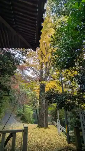 観音寺（山崎聖天）(京都府)
