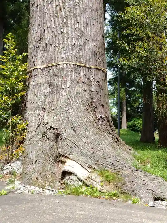 八柱神社(三重県)