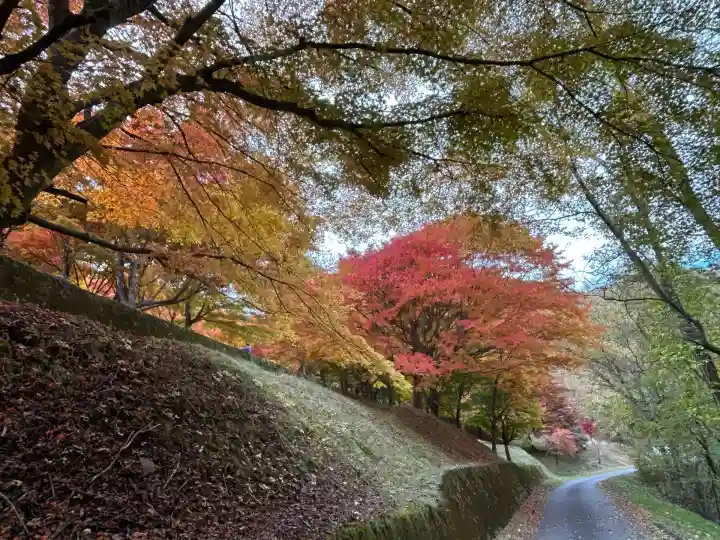 山神社(長野県)