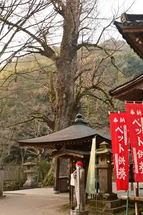 龍蔵寺(山口県)