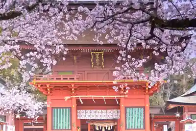 富士山本宮浅間大社(静岡県)