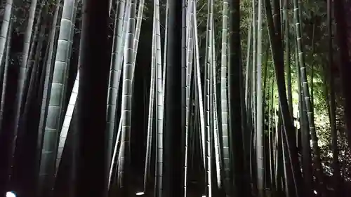 青蓮院門跡(京都府)