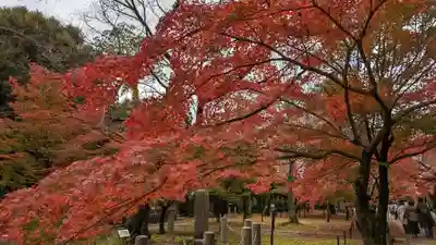 真正極楽寺(真如堂)(京都府)